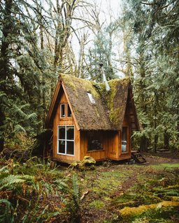 The roof insulation is rigid, waterproof material that Witzling placed on the outside in order to leave the roof framing exposed on the inside. The metal roof has a layer of chicken wire, with moss harvested from the property stuffed into it to create a weathered-looking green roof. 
