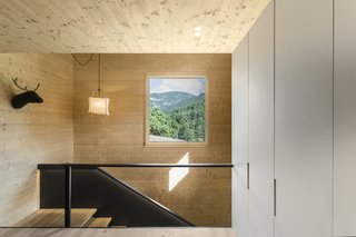 The windows frame beautiful views of the outdoors.