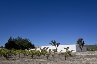 The architects achieved unity and continuity in the home's façade, despite the unevenness of the terrain.