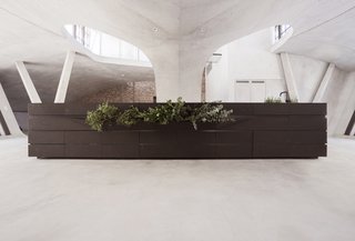 A planter along one side of the lava stone counter.