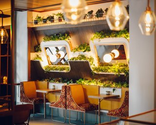 Highly customized planter shelving and two-seater booths ground this wall in the cafe. 