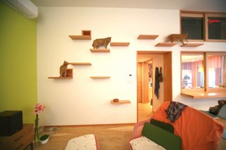 Shelf steps provide playful perches for kitties.