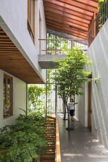 "The diagonal void is designed as a stepping park to give the living areas the dynamics of a natural space," says Vo.