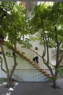 White ceramic tiles line the walls that surround the void. One of the challenges was safely installing the medium- to large-sized potted trees under the floor while still ensuring proper water drainage when watering them.