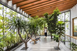 Vo chose a simple material palette to highlight the green plants.