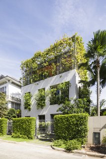 Ivy plants wrap along the open grills on the top floor, and spill over from the windows of the first floor to create a vibrant green facade. The home is part of a larger project by VTN Architects called "House for Trees."