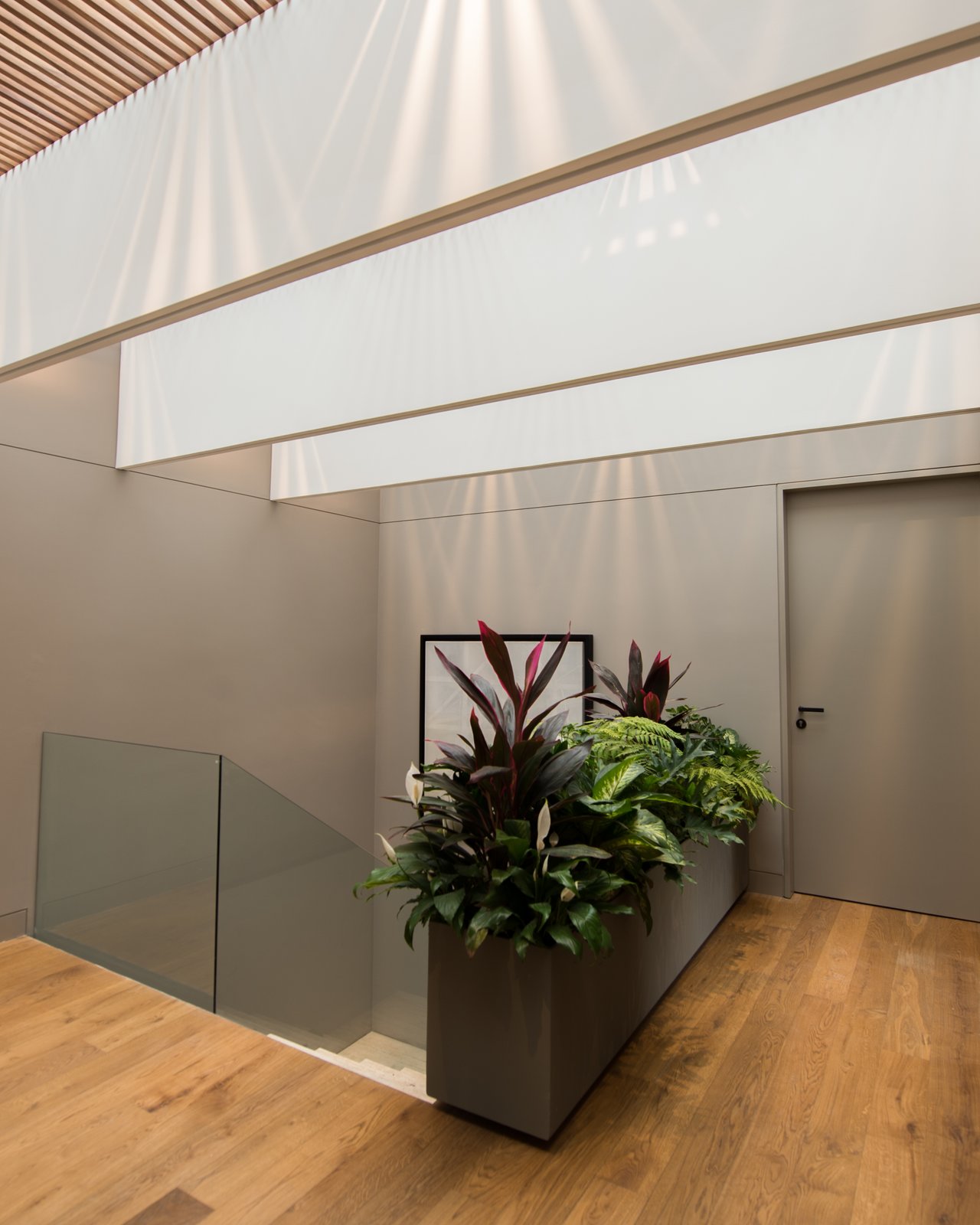 Photo 7 of 11 in Ramos House by Jose Juan Rivera Rio Dwell