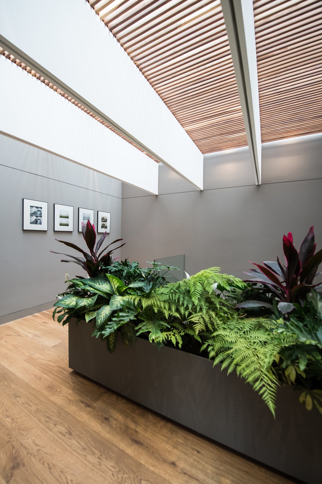 Photo 1 of 11 in Ramos House by Jose Juan Rivera Rio Dwell