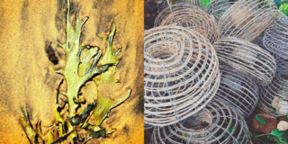 On the beaches, Seaweed and fishing baskets, Photography: Marcus Hay for SMH, Inc