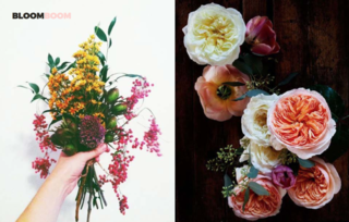 Left: Unknown, Right: Heirloom garden roses