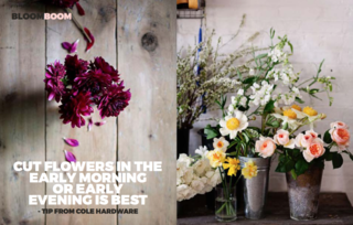 Left: From a beautiful site Brown Dress with White Dots, Right: From the amazing Peartree Flowers based in Brooklyn, NY/ Matchbook Magazine 