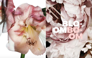 Left: Photo by the wonderful iconic Photographer Melvin Sokolsky, Right: Peonie, Unknown 