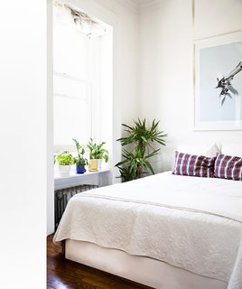 Why Plants Improve Mornings, by The Sill - Photo 1 of 4 - Incorporate your plants into your morning ritual; Source: Sidney Bensimon/The Sill