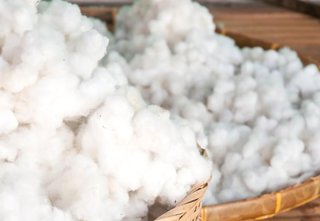 Our Bedding allows you to experience Egyptian long-staple cotton in its purest and most natural form; Source: WiseGeek 