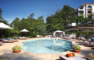 Cavalleri opts for drought-friendly landscaping by notable designer Pamela Burton - Photo 1 of 1 -