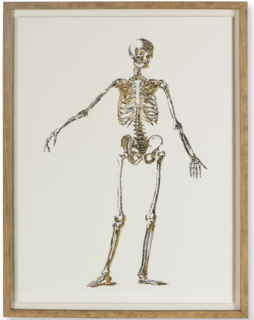 Gold skeleton