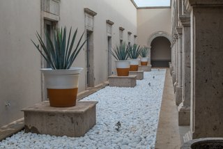 Cacti, agave and semi-desert vegetation were used to reduce facility water consumption and rain absorption wells were installed to water the plants present. 