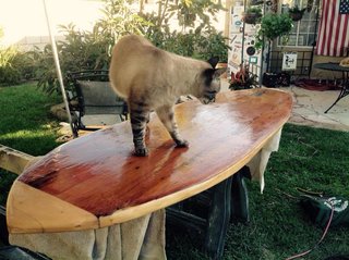Leo inspects my handiwork. As you can see, the glassing is rough; many hours of sanding are now required but I was very eager to baptize "my baby".