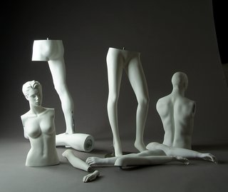 All You Need to Know About Mannequin Types