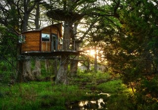 Experience Tree-Top Living at One of These Sustainable Tree Houses - Photo 1 of 15 - The Willow & Juniper tree house by ArtisTree
