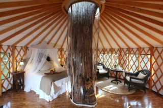 Experience Tree-Top Living at One of These Sustainable Tree Houses - Photo 7 of 15 - The Lofthaven tree house by ArtisTree