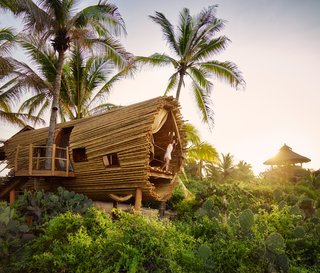 Experience Tree-Top Living at One of These Sustainable Tree Houses - Photo 11 of 15 - The Playa Viva tree house by ArtisTree