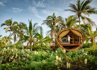 Experience Tree-Top Living at One of These Sustainable Tree Houses - Photo 12 of 15 - The Playa Viva tree house by ArtisTree