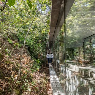 A Portuguese Glass House Uses Surrounding Foliage as a Privacy Screen - Photo 10 of 15 - Light enters the home from all sides, even those which are closest to the hill.