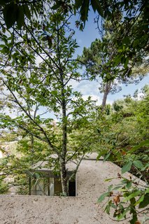 A Portuguese Glass House Uses Surrounding Foliage as a Privacy Screen - Photo 13 of 15 - The home is designed to maneuver around existing trees.