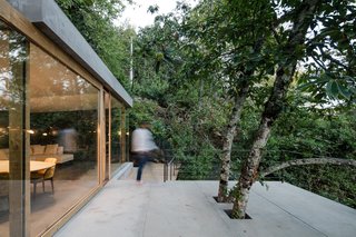 A Portuguese Glass House Uses Surrounding Foliage as a Privacy Screen - Photo 12 of 15 - Existing trees poke through the large patio.