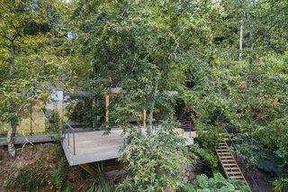 A Portuguese Glass House Uses Surrounding Foliage as a Privacy Screen - Photo 1 of 15 - Cloaked House by 3r Ernesto Pereira blends into its leafy hillside location.