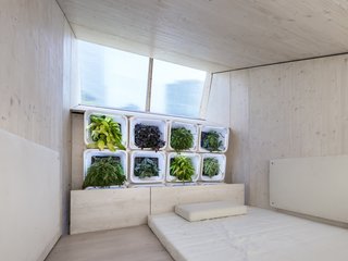 At the top of the lofted area is a window opening to allow in natural light, and passive cooling and ventilation.