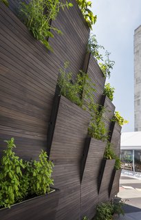 The micro-farming wall was designed for nutrient-dense provisions, including fruits and vegetables.