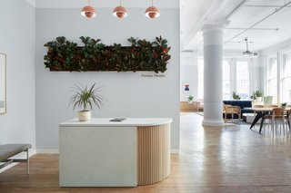 For Parsley Health’s new flagship center in New York, Alda Ly Architecture (ALA)<br>deployed the principles of biophilic design in an urban medical office.