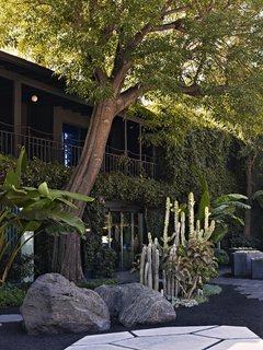Elysian Landscapes designed the graphic landscape for French fashion house Balenciaga, creating sculptural forms in sharp contrast to the black lava hardscape and green leafy foliage that envelops the building.