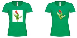 10 Mistakes In T Shirt Design That Affect Your Business - Photo 1 of 1 -