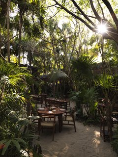 A Look at the Design of Noma Mexico, Tulum’s Pop-Up Restaurant Inspired by Local History - Photo 6 of 9 -
