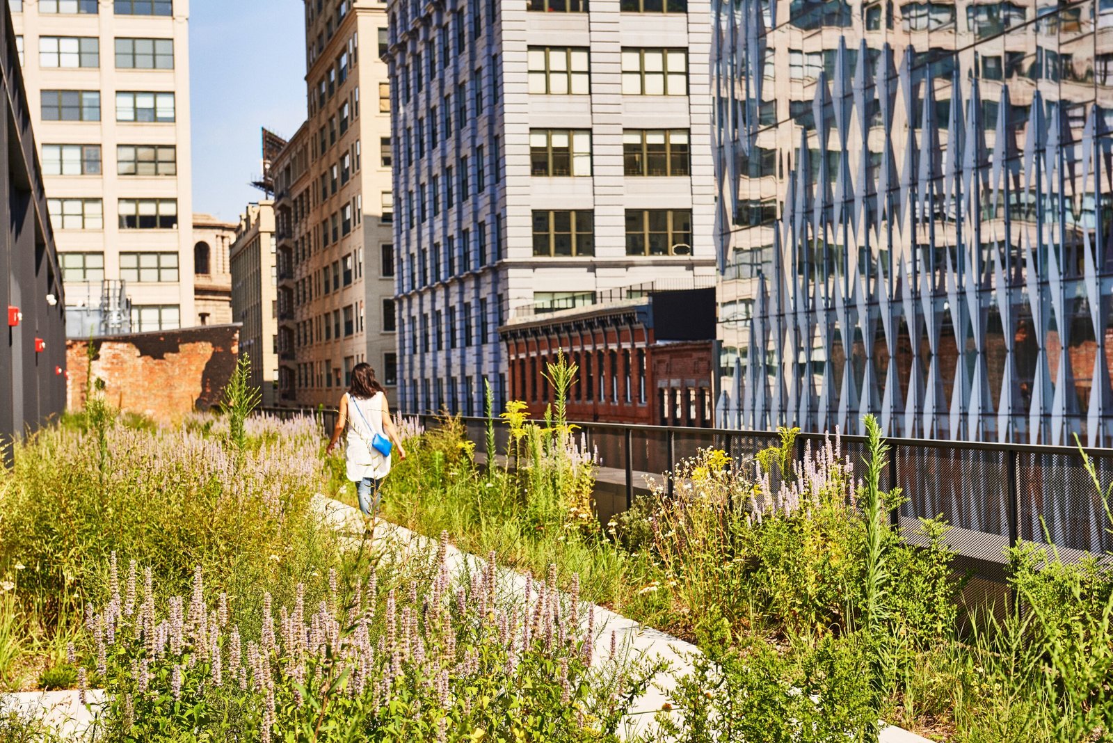 Photo 2 of 14 in A BrooklynBased Landscape Firm That’s Reshaping New