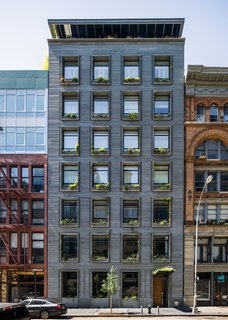 A Brooklyn-Based Landscape Firm That’s Reshaping New York City’s Green Urban Scene - Photo 5 of 13 -
