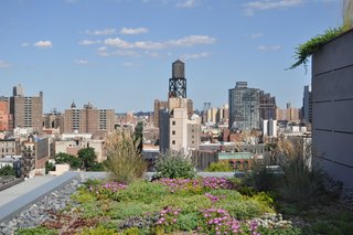 A Brooklyn-Based Landscape Firm That’s Reshaping New York City’s Green Urban Scene - Photo 7 of 13 -