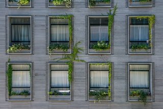 A Brooklyn-Based Landscape Firm That’s Reshaping New York City’s Green Urban Scene - Photo 6 of 13 -