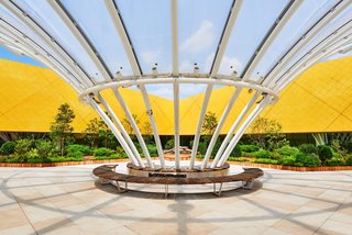 A Brooklyn-Based Landscape Firm That’s Reshaping New York City’s Green Urban Scene - Photo 10 of 13 -