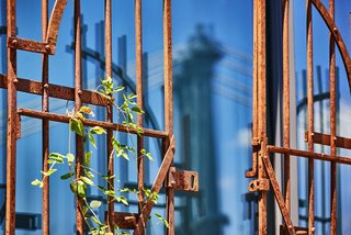 A Brooklyn-Based Landscape Firm That’s Reshaping New York City’s Green Urban Scene - Photo 11 of 13 -