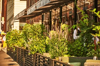 A Brooklyn-Based Landscape Firm That’s Reshaping New York City’s Green Urban Scene - Photo 13 of 13 -