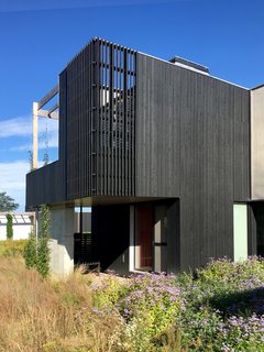 To bring the property back to its natural glory, landscape architect Lillian Ball removed invasive plantings and replaced them with indigenous landscaping. 