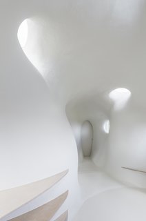 The interior "tubular" shell forms these organic window openings in some spots.