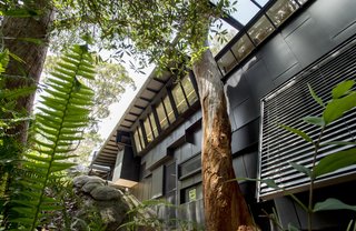 An Arresting Australian Abode by Glenn Murcutt Needs a Buyer - Photo 2 of 8 - Black, weathered zinc clads the exterior. Angled walls and an opening in the eave preserves the mature trees on the site.