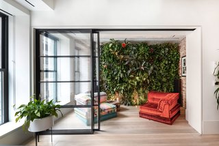The new lounge space connects to the living room via a sliding steel-and-glass door, and hosts the homeowner's gardening hobby via the striking green wall.