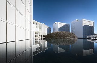 An Exquisite Beach Resort on Baja California Sur Lies Where the Water Meets the Horizon - Photo 3 of 11 - At the center of the hotel is a restaurant composed of bent steel rods and twigs from local mangrove trees. The soft, organic form is a formulated contrast to the white, vertical structures that surround it. 