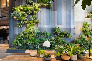 Check Out This Brooklyn Hotel's Dramatic Living Wall Installation - Photo 1 of 6 -